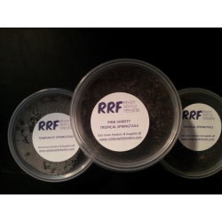 3 pack bioactive springtails tropical temperate silver