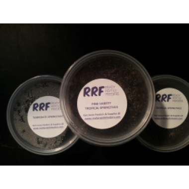 3 pack bioactive springtails tropical temperate silver