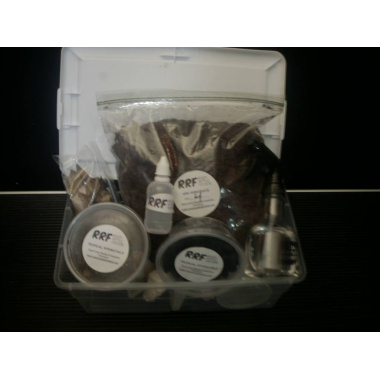 tropical springtails culturing kit rrf