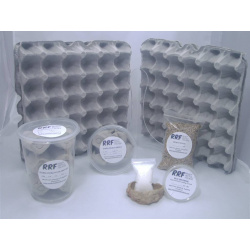 dubia roach starter colony kit sale 2995