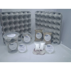 discoid roach florida legal wcleaner crews colony kit extra large