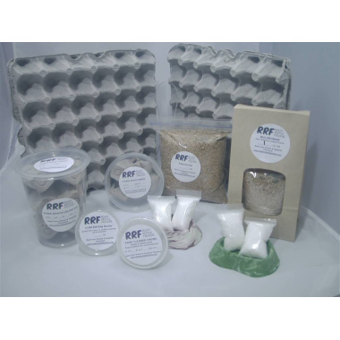 madagascar hisser colony wcleaner crews contain roach barrier