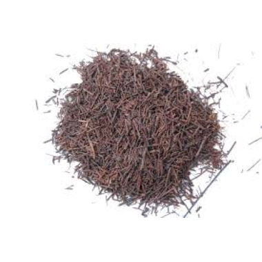 medium tree fern fiber 4 qts